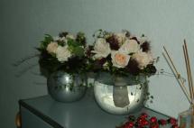 thumbs/dsc_5904.jpg