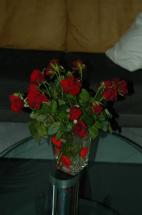 thumbs/dsc_5907.jpg